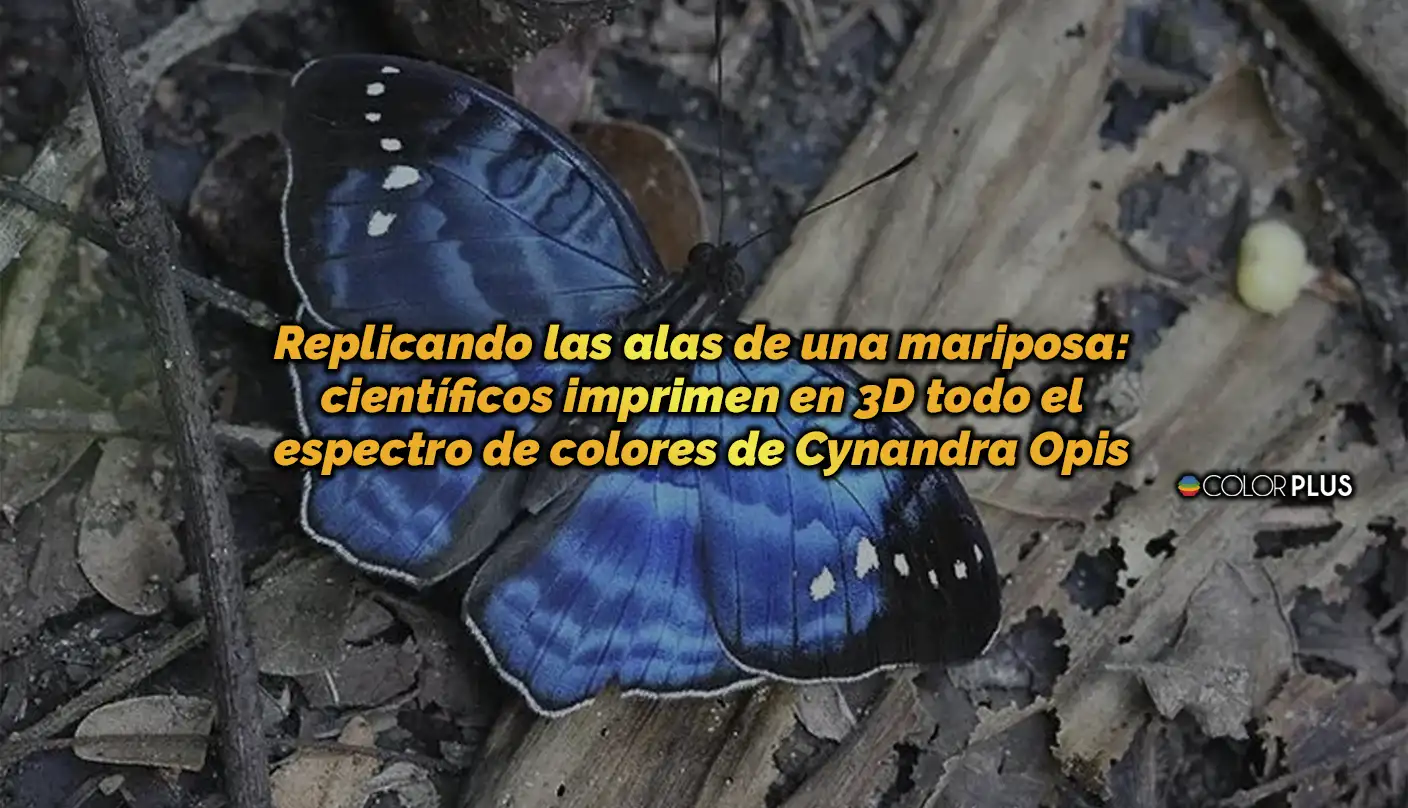 Nanoestructuras impresas en 3D: replicando alas de una mariposa