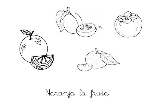 NARANJA DIBUJOS PARA COLOREAR EN NARANJA DIBUJOS COLOR NARANJA