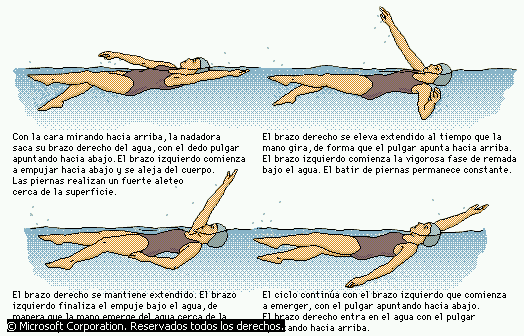 Natación - Monografias.