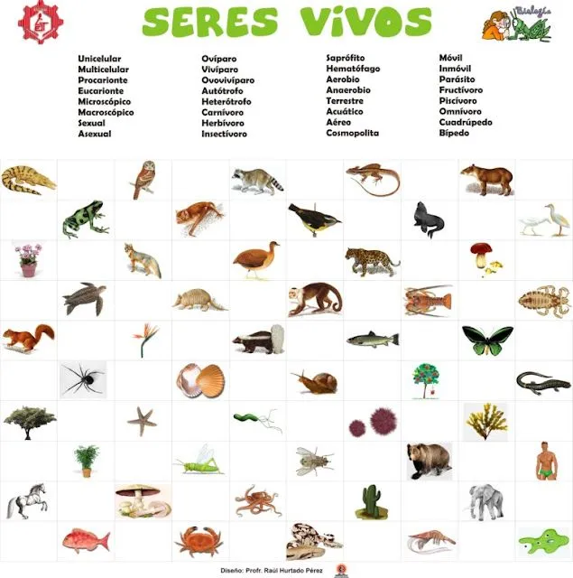 naturales: Los seres vivos y no vivos