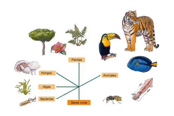 la naturaleza