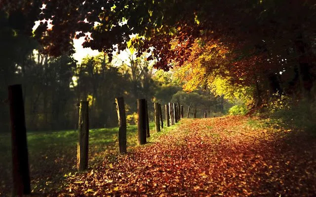 La naturaleza como la devemos apreciar - Taringa!