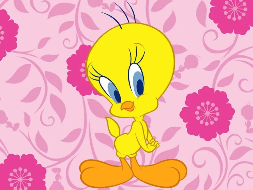 Fondo de pantalla de piolin - Imagui