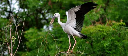 Naturaleza en España - Fauna y Flora en España | don Quijote