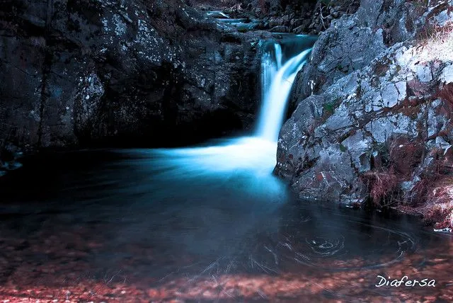 Imagenes de naturaleza con movimiento - Imagui