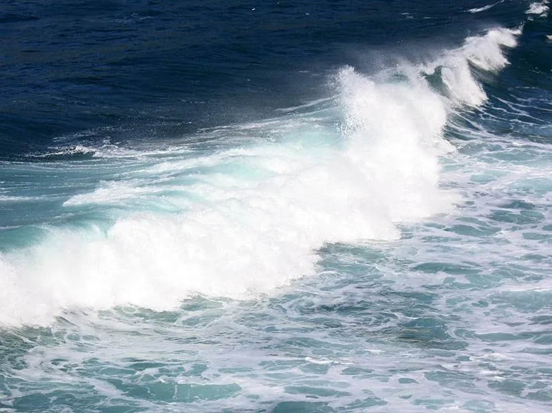 Naturaleza: Olas gigantes - Taringa!