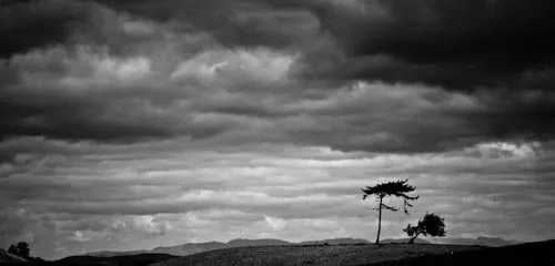 naturaleza-paisaje-blanco-negro- - Jesús G. Pastor, un fotógrafo.