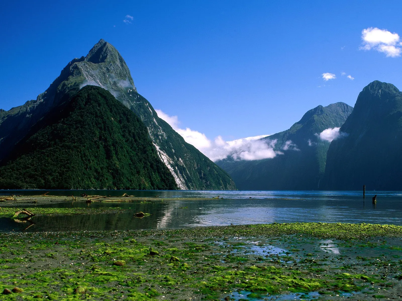 Naturaleza y Paisajes de Nueva Zelanda en HD - Primera Parte ...