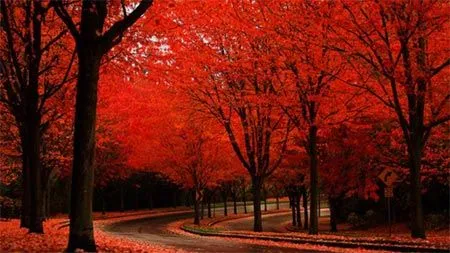 Imagenes bonitas de la naturaleza - Imagui