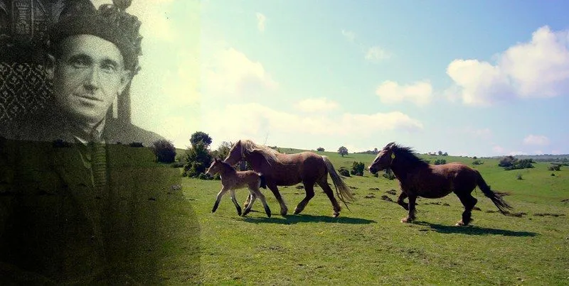 La nave de los locos: mayo 2013