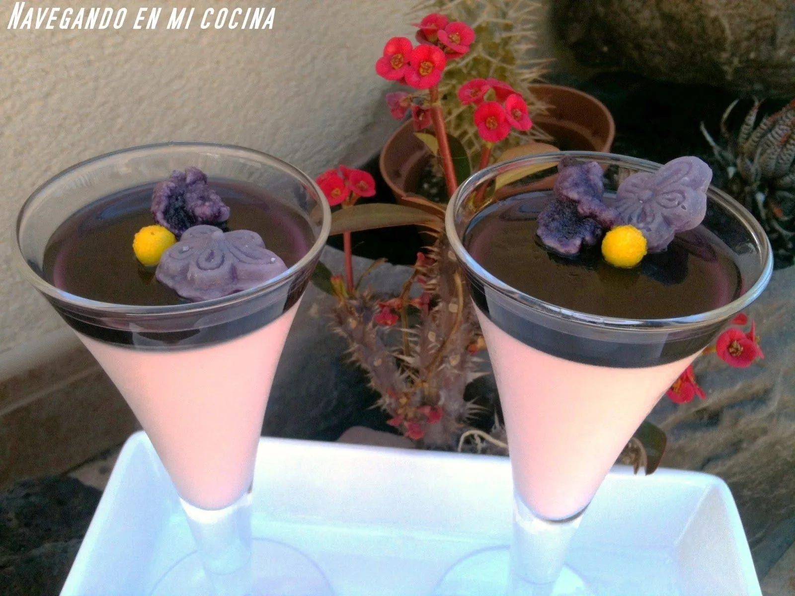 Navegando en mi Cocina: PANNA COTTA CON GELATINA DE VIOLETAS