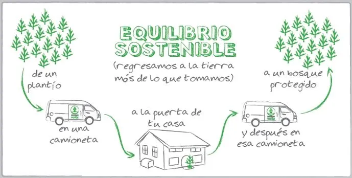 Navidad con arbolito sin remordimientos #Remitente en Art House ...