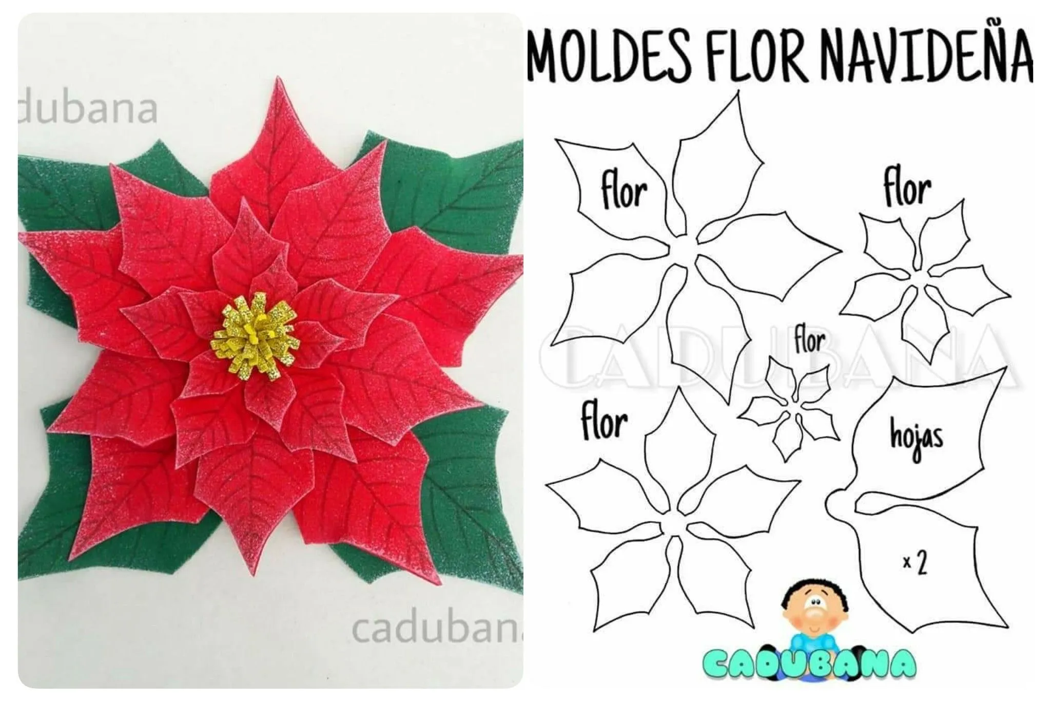 Navidad - Flor Navideña | Poinsettia flower, Christmas decorations,  Poinsettia