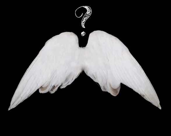 Para qué necesitan a las alas los ángeles? ~ Cabalá Auténtica Bnei ...