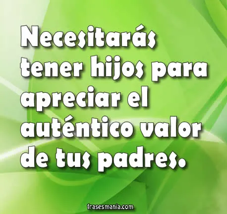 Necesitarás tener hijos para apreciar el .... Frases.