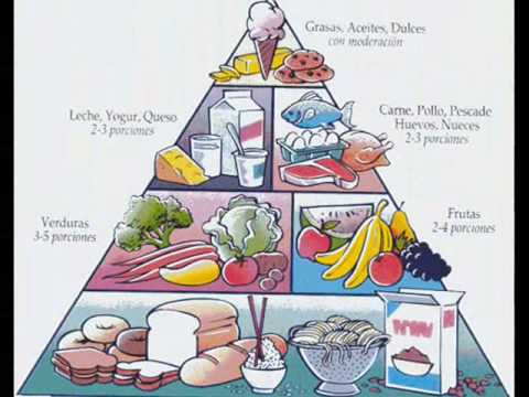 necesito informacion sobre la piramide alimenticia?