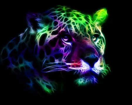 Neon Leopard - 3D and CG & Abstract Background Wallpapers on ...