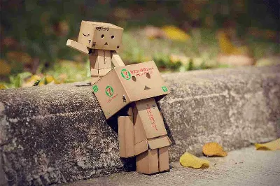 netDelicias: El pequeño hombre de cajas de cartón: Danbo