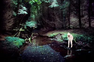 nilamadrenielcordero: bosque animado