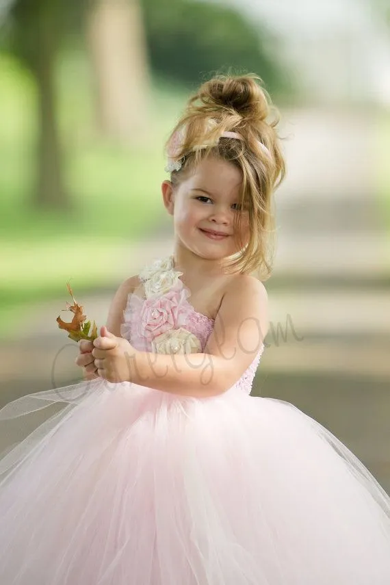 Niña De Las Flores Rosa Claro Del Vestido Del Tutú, Vestido De La ...