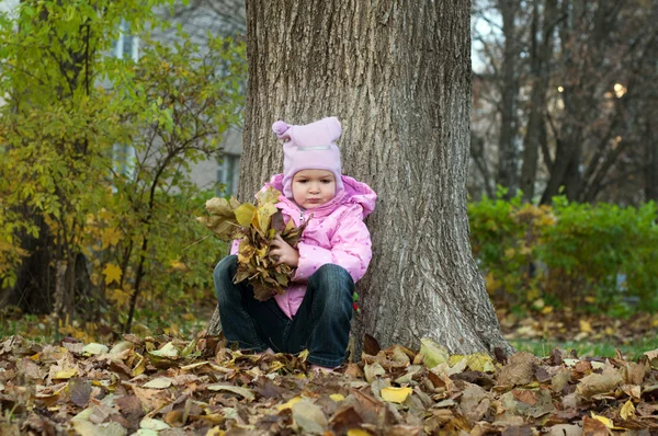niña jugando en el parque otoño hojas — Foto stock © lusyaya #36784953