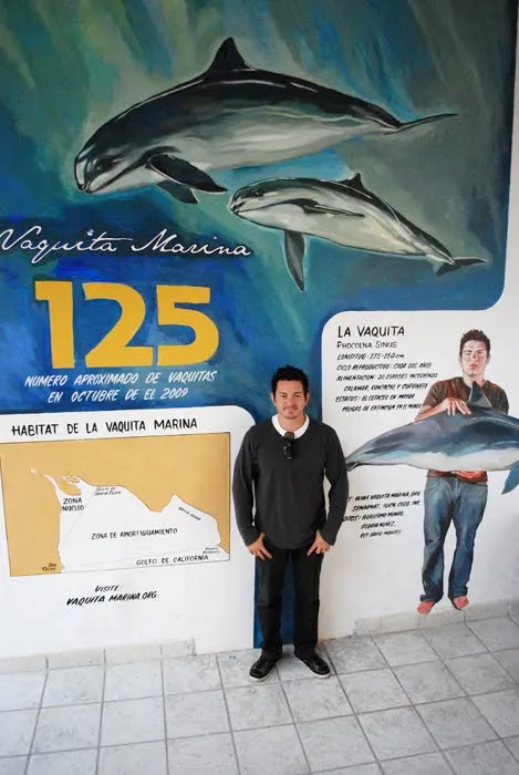 Nina Mier: Mural de La Vaquita Marina, su conservación