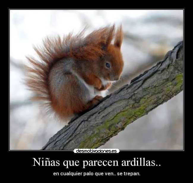 Niñas que parecen ardillas.. | Desmotivaciones