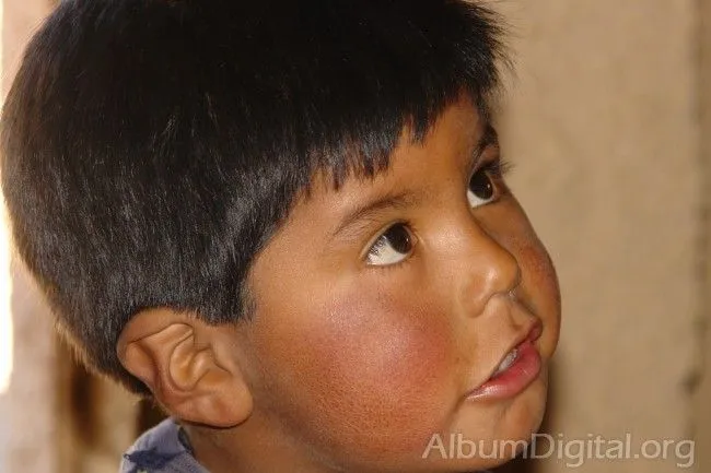 Niño indigena - Imagui
