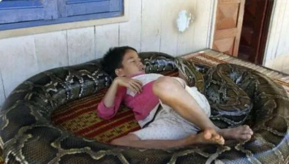 Niño vive con una anaconda desde los 3 meses