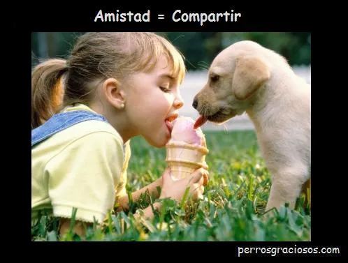 Compartir - Imagui