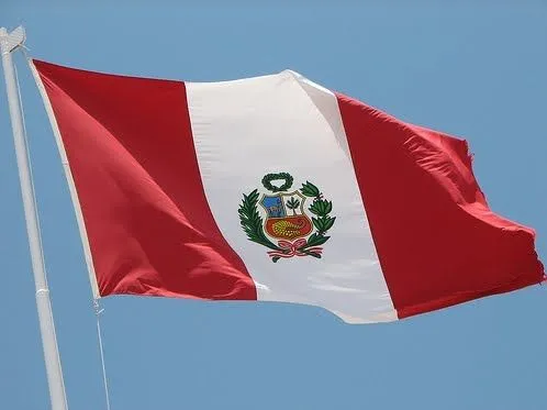 Niños con la bandera del peru - Imagui