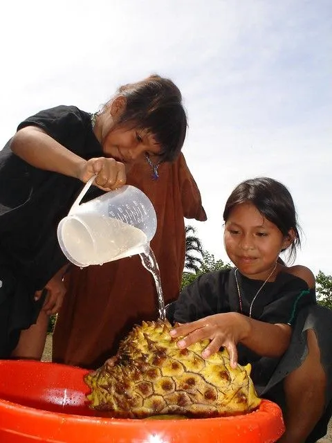Niños lavando - Imagui