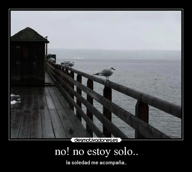 no! no estoy solo.. | Desmotivaciones