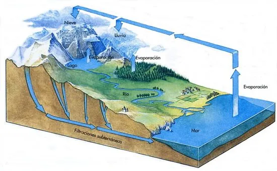 Noisy corner: El ciclo del agua.