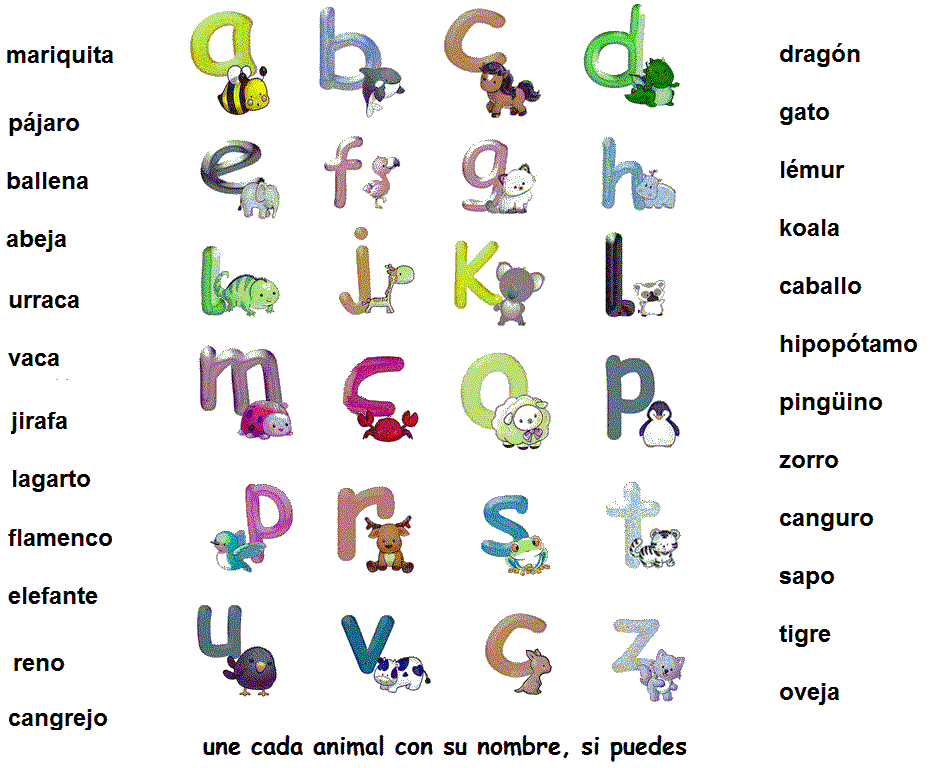 Nombres de animales con i - Imagui