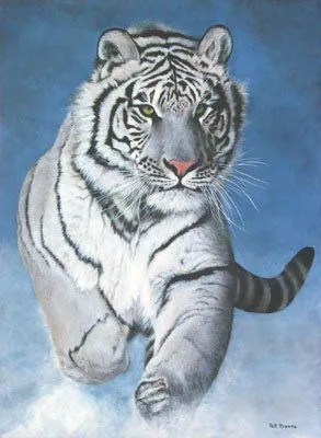 nombre comun tigre blanco nombre cientifico panthera tigris clase ...