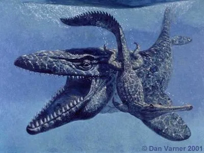  ... nombre es dan varner y es un gran paleilustrador de reptiles marinos