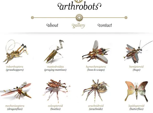 Nombres de insectos - Imagui