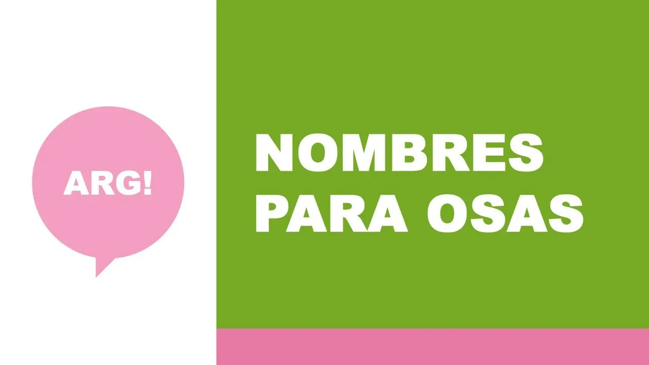 Nombres para osas - YouTube