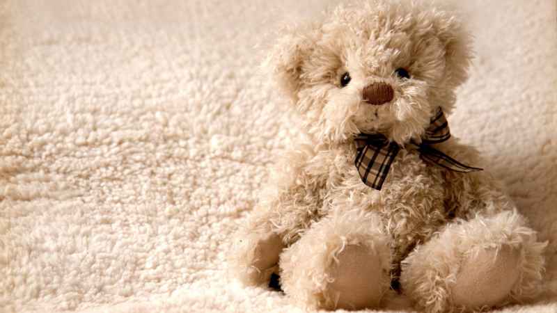 Nombres para ositos de peluche tiernos y populares - Nombres para Todo