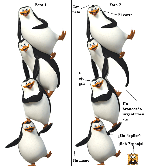 Los nombres de los pingüinos de madagascar - Imagui