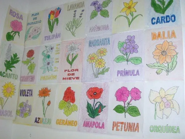 Nombres de plantas - Imagui