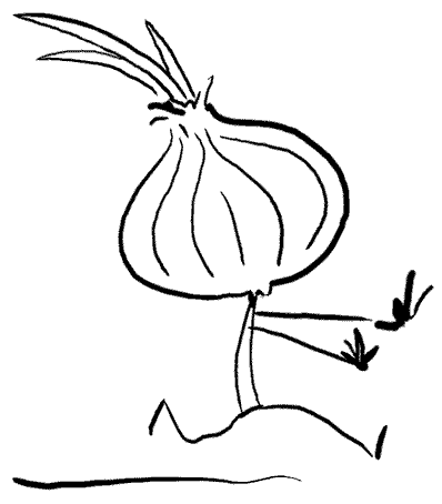 NOmecuentesROLLOS!: Cebolla para el pelo : experiencia