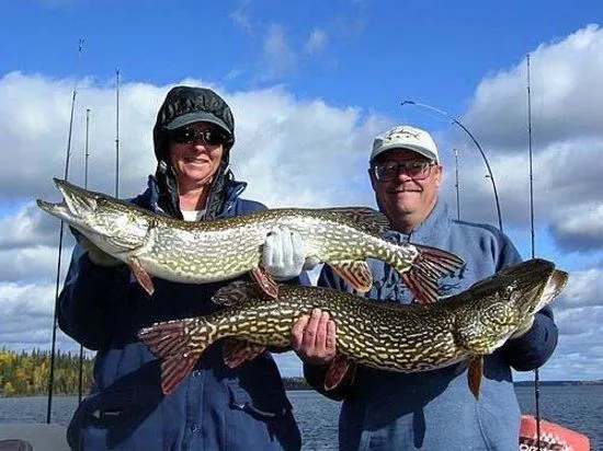 Northern Pike Master Anglers - Picture of Flin Flon, Manitoba ...