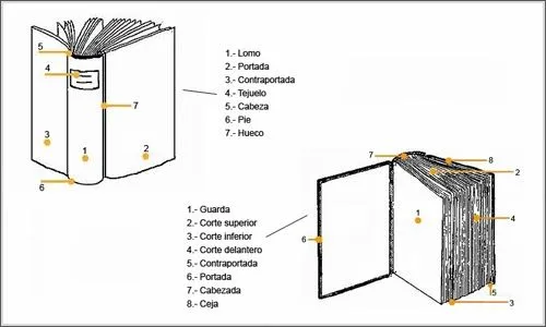 Notas para lectores curiosos: ¿CÓMO GUARDAS TUS LIBROS?