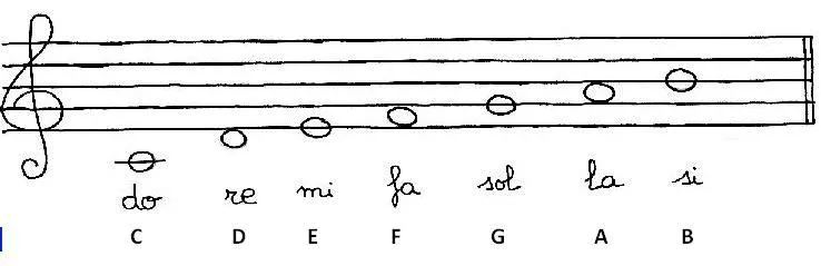 Siete Notas | lourdesmusical