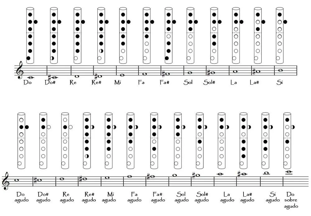 Las notas musicales de la flauta - Dice la canción