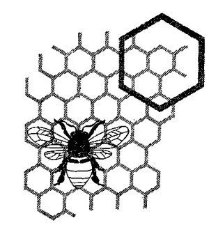 Noticiario Matemático: Abejas matemáticas