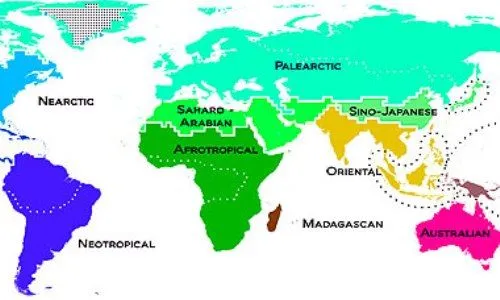 Noticias Ambientales Internacionales: diciembre 2012