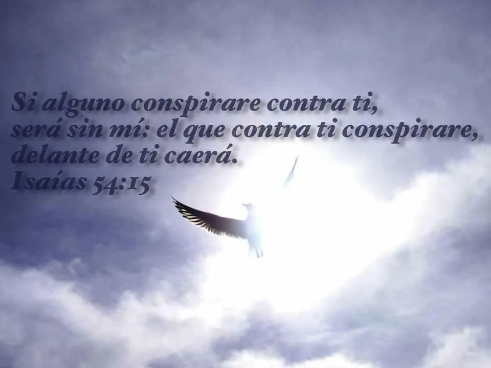 Noticias al momento: Reflecciones eternas del alma update a 8/16/2013